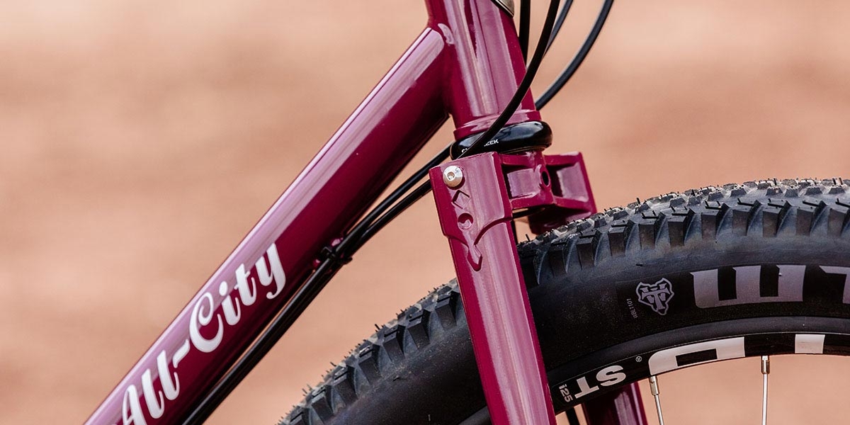 All-City Gorilla Monsoon in Charred Berry color, fork crown detail against outdoor background
