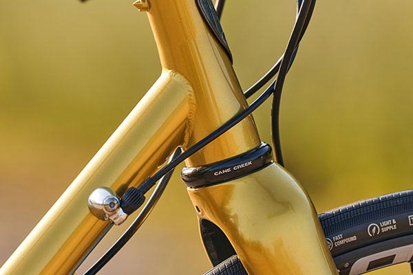 Close-up of paint detail on Zig Zag complete bike showing fork crown and headtube