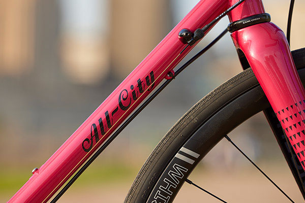 Close-up of paint detail on Zig Zag complete bike showing fork crown and headtube