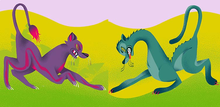 Colorful illustration of two big cats squaring off for a fight showing teeth