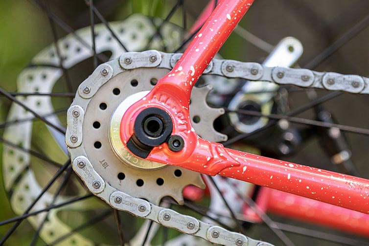 Close-up of drive-side rear dropout, cog, and chain of Nature Cross Single Speed bike