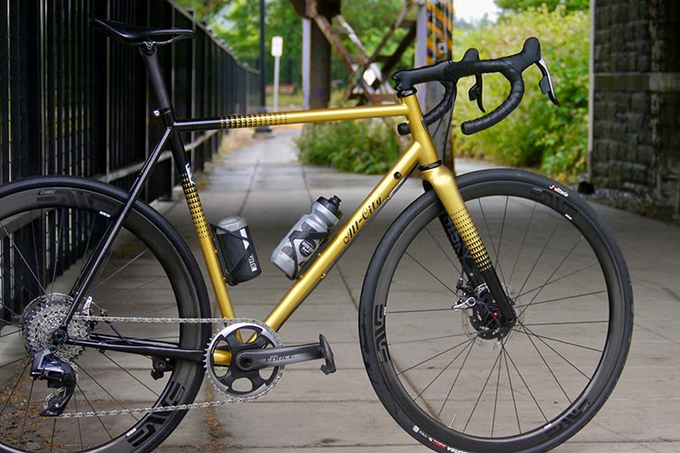 Bennett's All-City Zig Zag Golden Leopard custom build side view