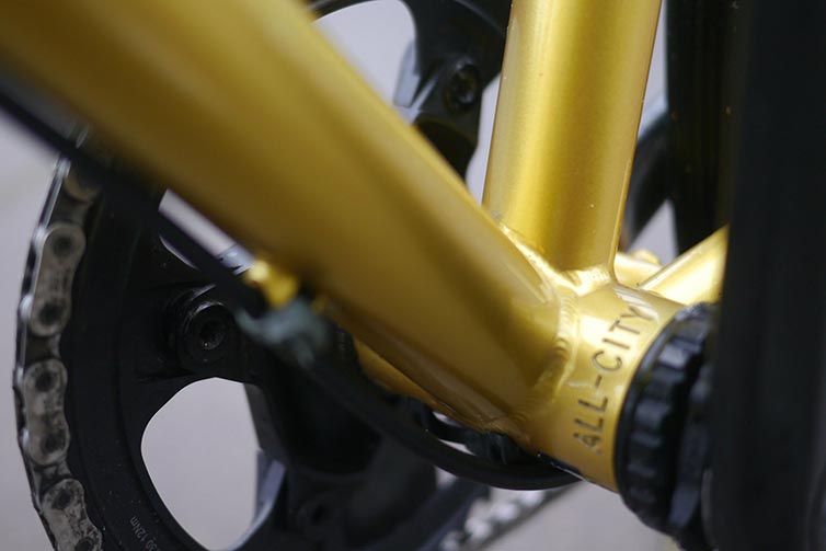 Close-up bottom bracket area of Zig Zag Golden Leopard custom bike