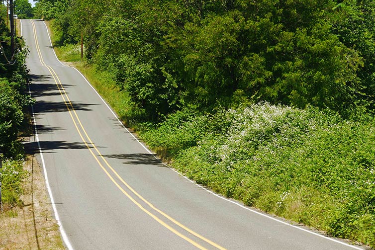 Long rolling country road