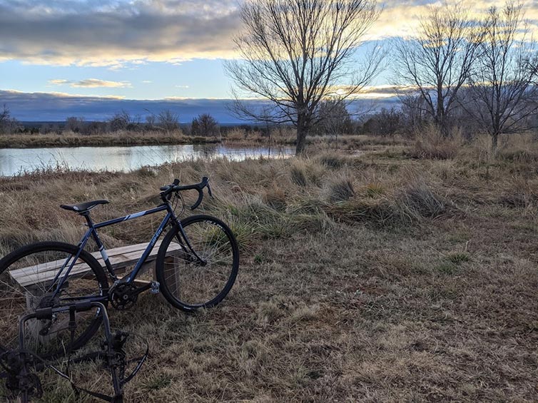 All-City Space Horse leaning up against bench next to grassy lake shore