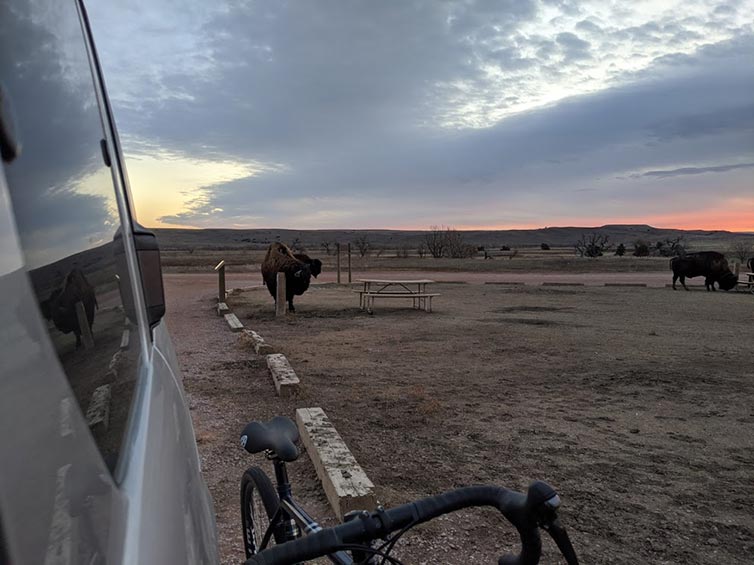 Bison on prairie at sunset with bike and van in foreground