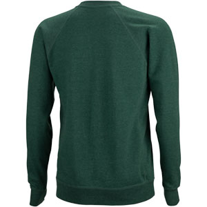 Green throwback crewneck sweatshirt on a white background back view, 2 of 2